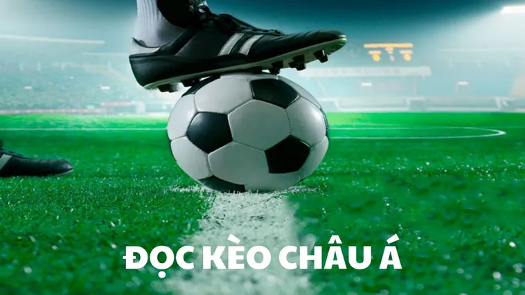 Bí Kíp Soi Kèo Châu Á Và Cách Đọc Vị Tỷ Lệ Chấp Chuyên Nghiệp