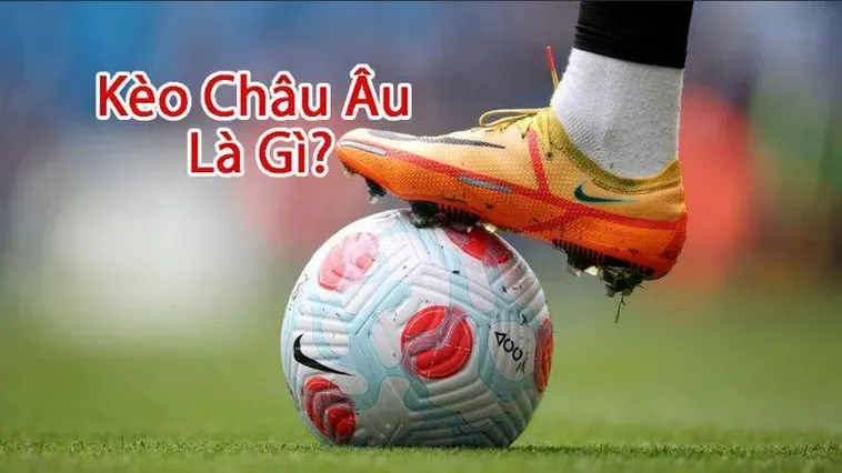 Hướng Dẫn Chuyên Sâu Cách Đọc Và Soi Kèo Châu Âu Hiệu Quả